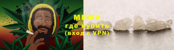 индика Новочеркасск