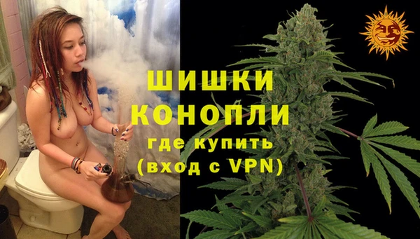 стаф Братск