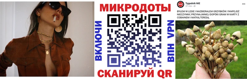 Псилоцибиновые грибы мухоморы  магазин    Всеволожск 