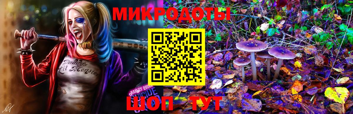 где можно купить наркотик  Галлюциногенные грибы Psilocybine cubensis  Вход с VPN  Галлюциногенные грибы Psilocybe  Всеволожск 