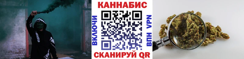 OMG маркетплейс  закладки  Всеволожск  Марихуана сатива 